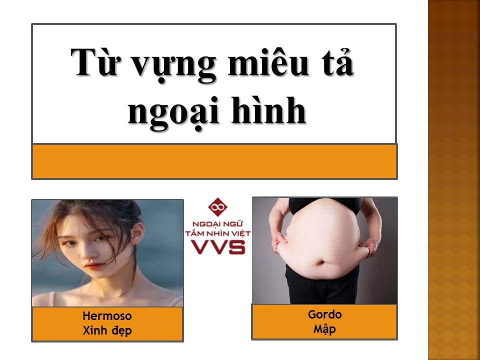 Tá»« Vá»±ng Tiáº¿ng Tay Ban Nha Ä'á»ƒ Mieu Táº£ Ngoáº¡i Hinh Ngoáº¡i Ngá»¯ Vvs