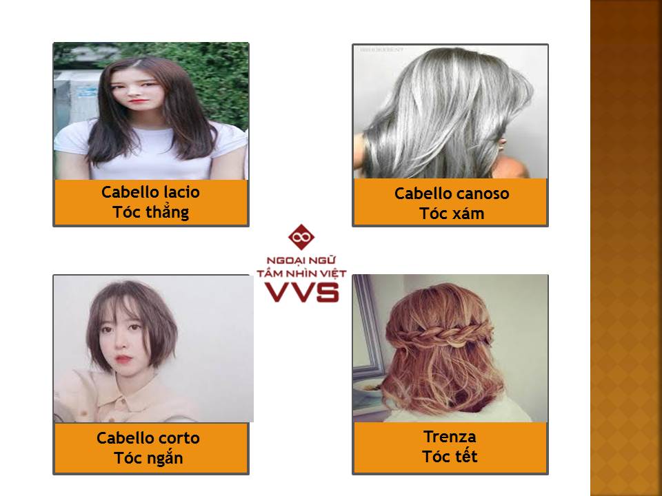 Từ vựng tiếng Tây Ban Nha để miêu tả ngoại hình - Ngoại ngữ VVS