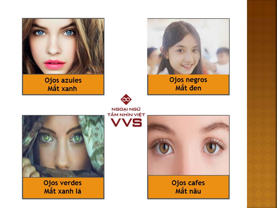 Từ vựng tiếng Tây Ban Nha để miêu tả ngoại hình