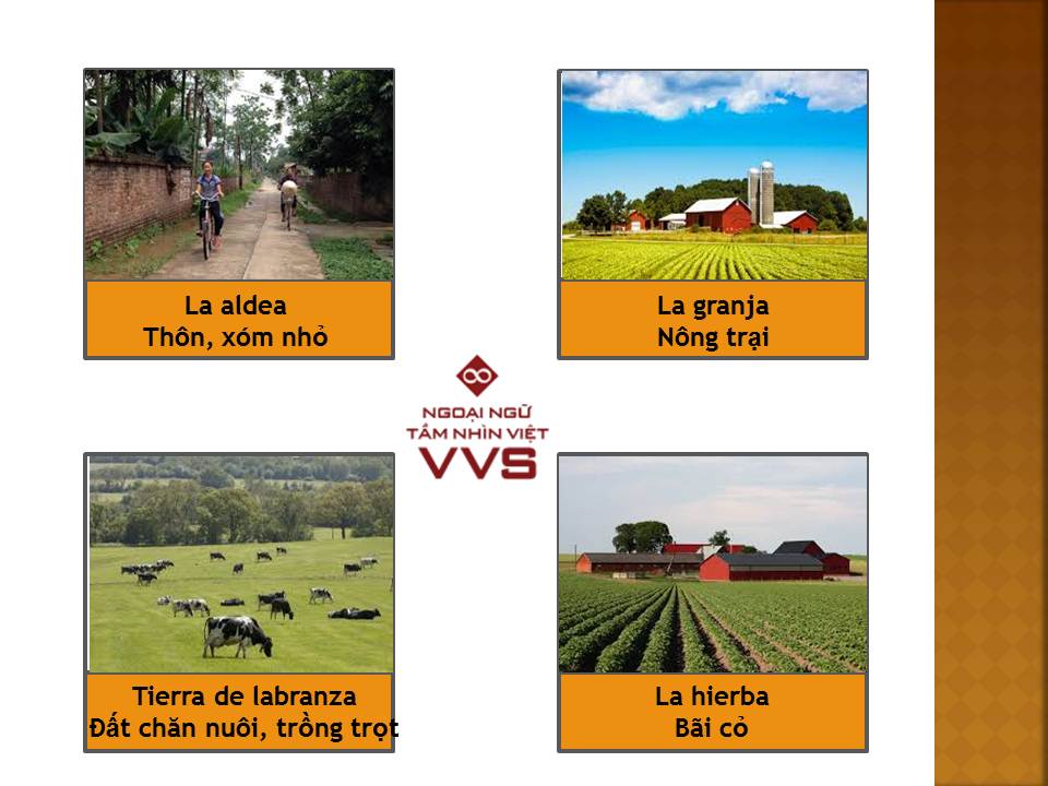 Từ vựng tiếng Tây Ban Nha chủ đề nông thôn - Ngoại ngữ VVS