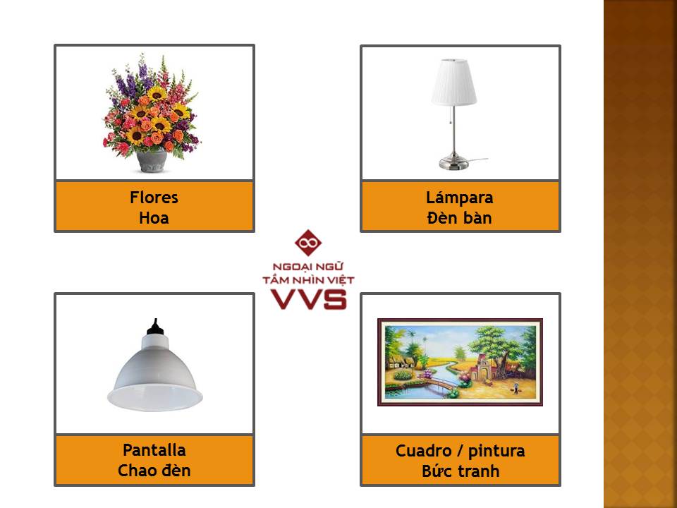 Từ vựng tiếng Tây Ban Nha chủ đề phòng khách - Ngoại ngữ VVS