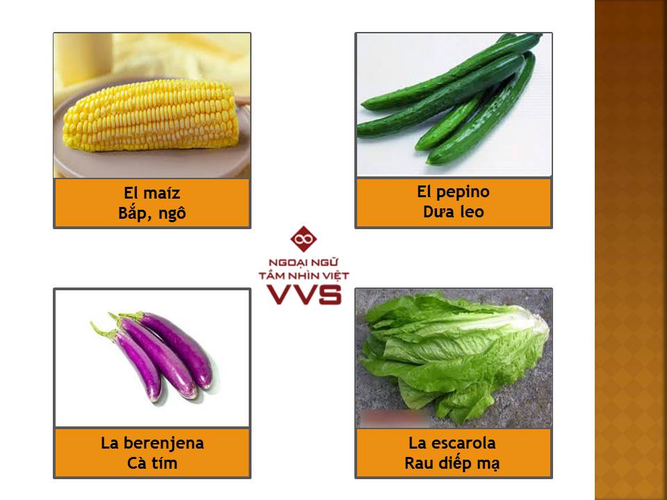 Từ vựng tiếng Tây Ban Nha chủ đề rau củ - Ngoại ngữ VVS - You Can