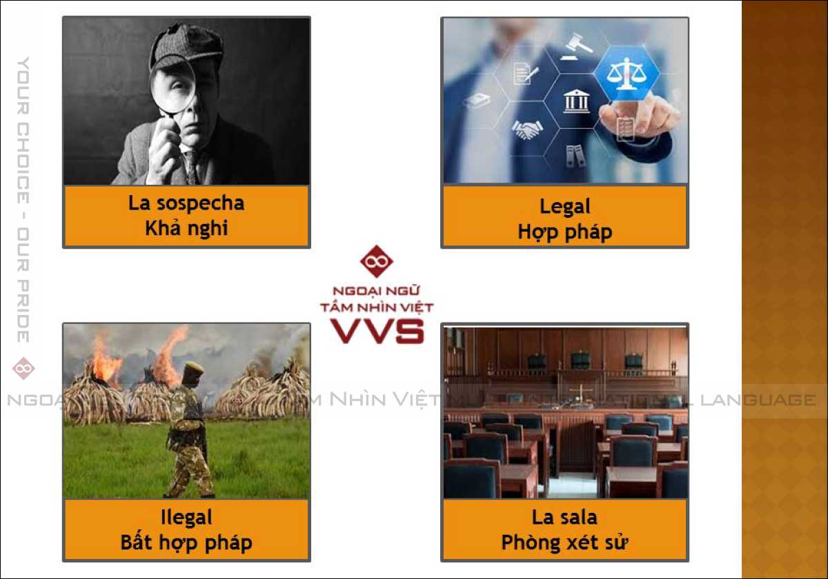 Từ vựng tiếng Tây Ban Nha tại phiên tòa - Ngoại ngữ VVS - You Can