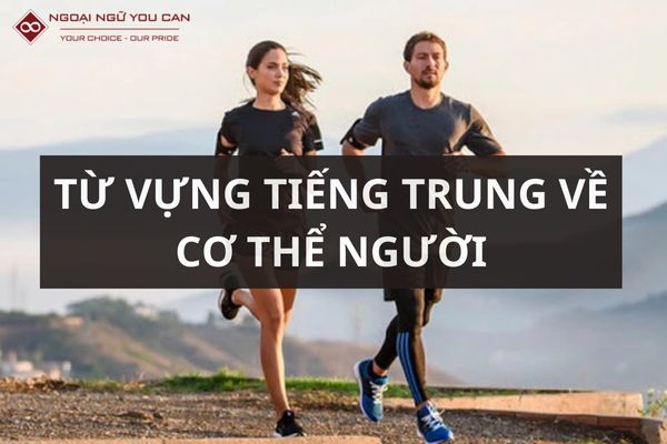 tieng trung ve co the