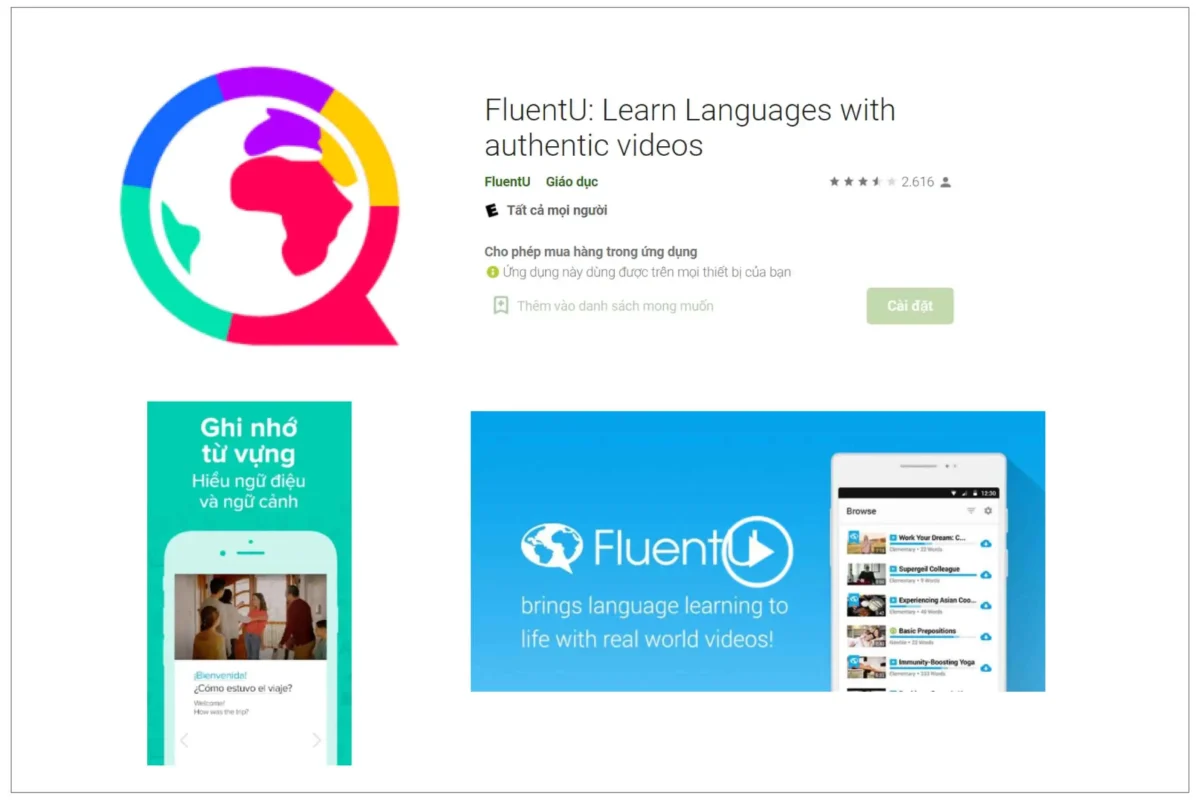 Fluent-U